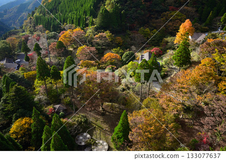Autumn leaves in Yabe Village, Yame City Autumn leaves in Yabe Village, Yame City 133077637
