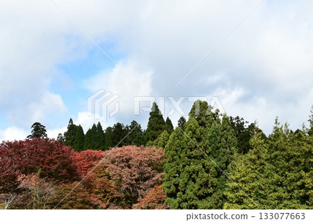 比叡山頂和秋葉 比叡山頂和秋葉 133077663