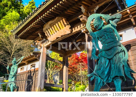 永善寺三門和金剛力士雕像的雄偉外觀 133077797