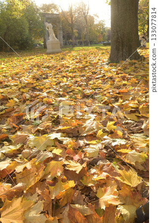 Autumn leaves cover Parc Monceau in Paris, France, November 11, 2025 Autumn leaves cover Parc Monceau in Paris, France, November 11, 2025 133077814