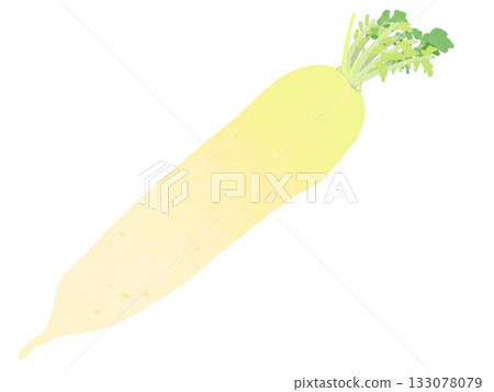 Hand drawn radish 133078079