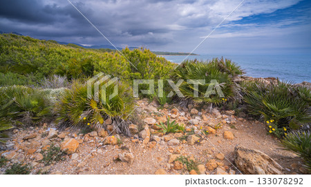 Sierra de Irta Natural Park, Spain Sierra de Irta Natural Park, Spain 133078292