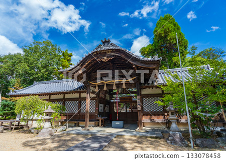 奈良縣斑鳩町：秋日藍天與斑鳩神社的神殿。 133078458