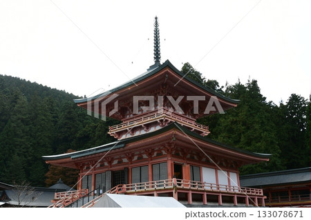 East Pagoda of Hokke Soji Temple East Pagoda of Hokke Soji Temple 133078671