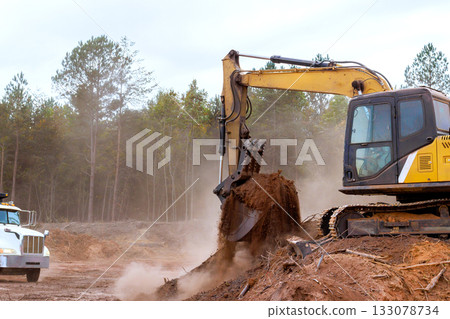Excavator working on forest clearing project with truck nearby 133078734