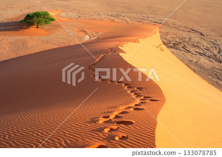 Footsteps  sand dune, Sossusvlei, Namibia 133078785