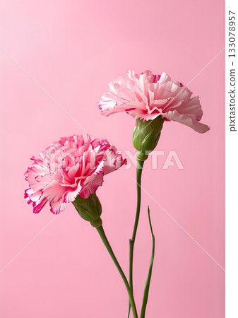 母親節康乃馨心 133078957