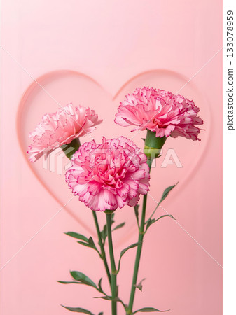 Mother's Day Carnation Heart Mother's Day Carnation Heart 133078959