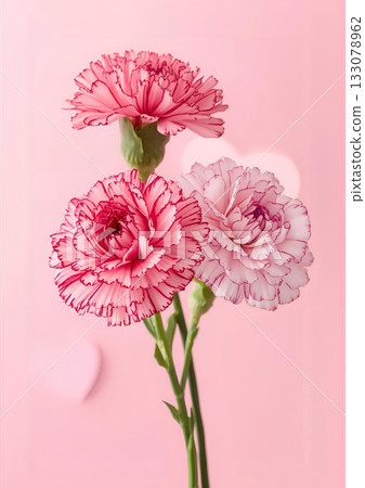 Mother's Day Carnation Heart Mother's Day Carnation Heart 133078962