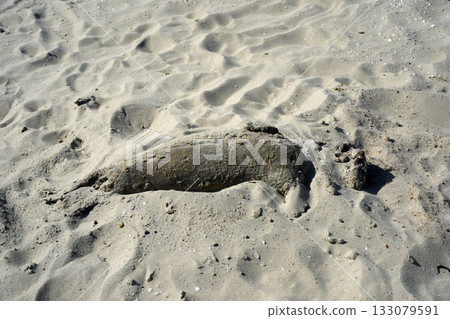 A baby dead seal in skagen in northern sea beach A baby dead seal in skagen in northern sea beach 133079591