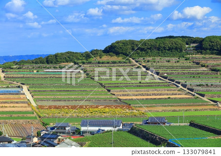 【長崎縣】從雲仙南串山梯田觀測站看到的梯田 【長崎縣】從雲仙南串山梯田觀測站看到的梯田 133079841
