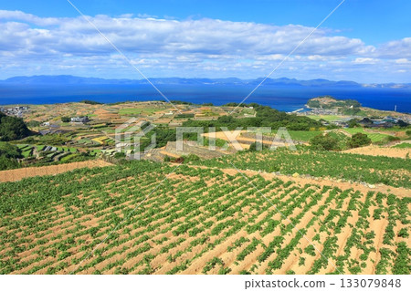 [Nagasaki Prefecture] Terraced fields seen from Minamikushiyama Terraced Field Observatory in Unzen 133079848