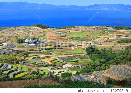 [Nagasaki Prefecture] Terraced fields seen from Minamikushiyama Terraced Field Observatory in Unzen 133079849