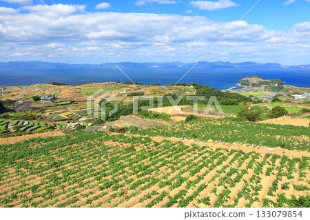 【長崎縣】從雲仙南串山梯田觀測站看到的梯田 【長崎縣】從雲仙南串山梯田觀測站看到的梯田 133079854