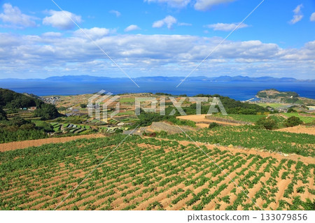 [Nagasaki Prefecture] Terraced fields seen from Minamikushiyama Terraced Field Observatory in Unzen 133079856