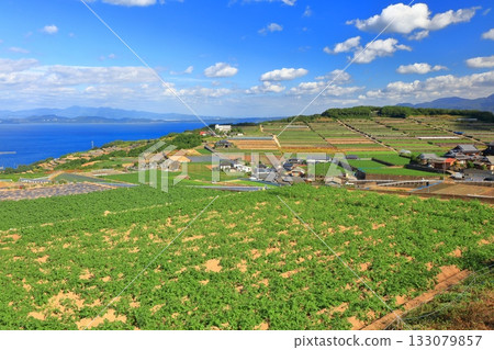 【長崎縣】從雲仙南串山梯田觀測站看到的梯田 133079857