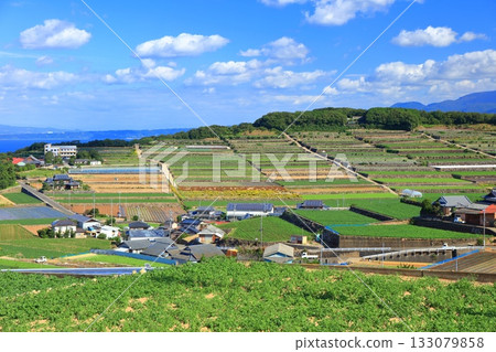 [Nagasaki Prefecture] Terraced fields seen from Minamikushiyama Terraced Field Observatory in Unzen 133079858
