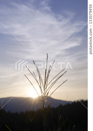 Morning scenery of Tonomine Plateau 133079956