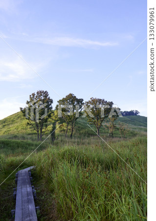 Morning scenery of Tonomine Plateau 133079961