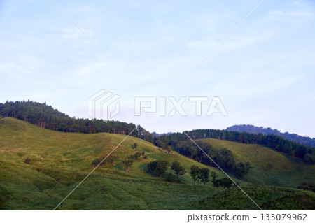 Morning scenery of Tonomine Plateau 133079962