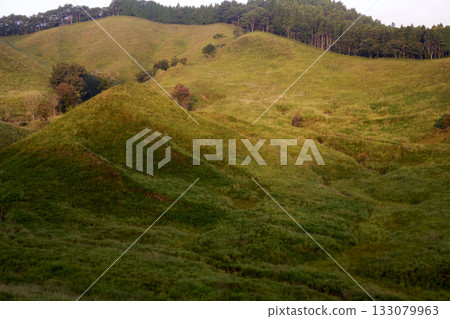 托諾米內高原的清晨景色 133079963