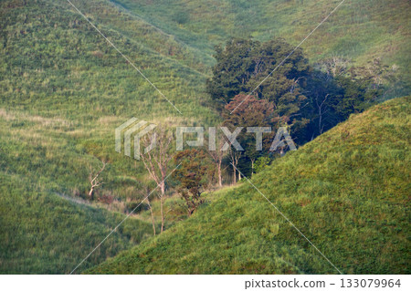 Morning scenery of Tonomine Plateau 133079964