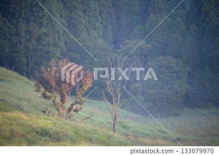 Morning scenery of Tonomine Plateau 133079970
