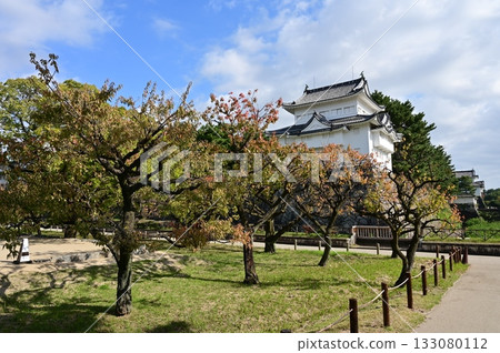 Southwest corner tower and autumn plum leaves (Nagoya Castle) 133080112