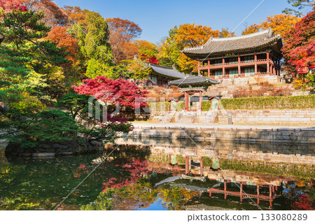 Autumn in Seoul, Changdeokgung Palace, Rear Garden 133080289
