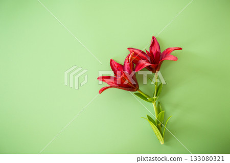 Two large red lilies on green background Two large red lilies on green background 133080321