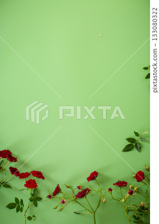 Top view of miniature red roses on green background Top view of miniature red roses on green background 133080322