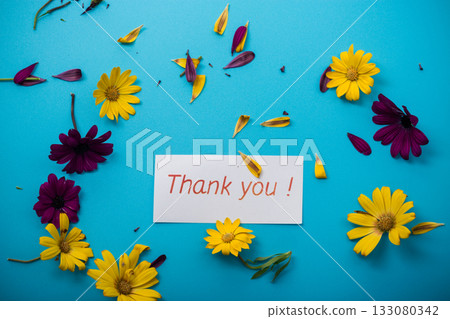Yellow and purple flowers arrangement with petals on blue background 133080342