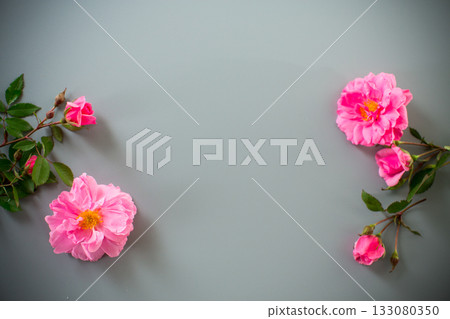 Pink petals and branches with buds 133080350