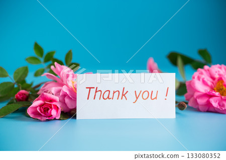 Rose flowers on a smooth pastel surface with gratitude 133080352