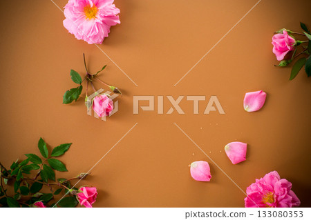 Rose flowers on smooth brown background 133080353