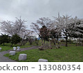 Spring 133080354