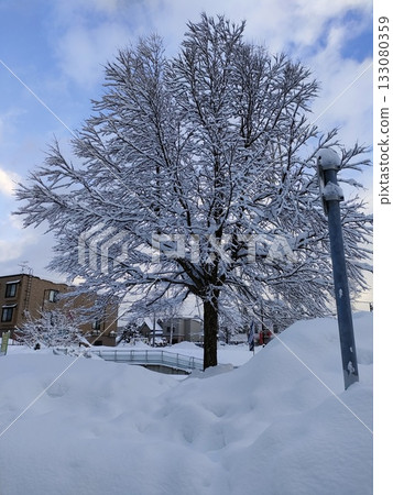 The winter 133080359