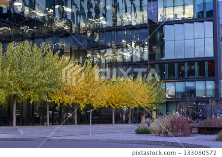 A modern business center with a glass facade and yellow autumn trees A modern business center with a glass facade and yellow autumn trees 133080572