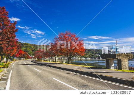 A tree-lined road lined with bright red autumn leaves along the shores of Lake Suwa A tree-lined road lined with bright red autumn leaves along the shores of Lake Suwa 133080997