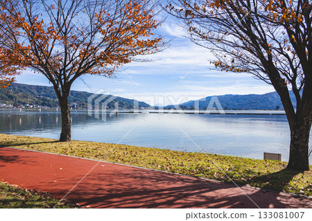 Autumn leaves and Mount Fuji over Lake Suwa 133081007