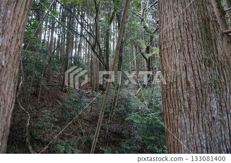 在大自然中 在大自然中 133081400