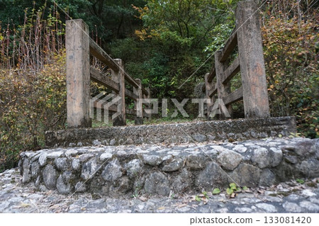 In the great nature 133081420