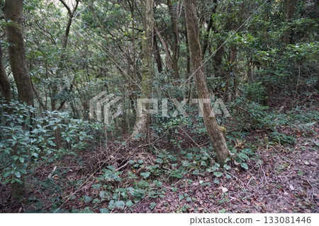 In the great nature In the great nature 133081446