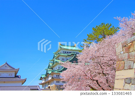 愛知縣名古屋市櫻花盛開和名古屋城的景色 愛知縣名古屋市櫻花盛開和名古屋城的景色 133081465