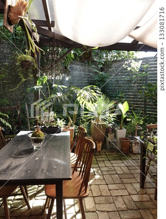 A stylish botanical terrace with pleasant sunlight streaming in 133081716