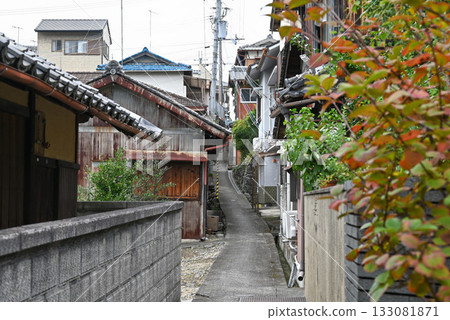 【和歌山縣伊東郡】九堂山真田村景色 133081871