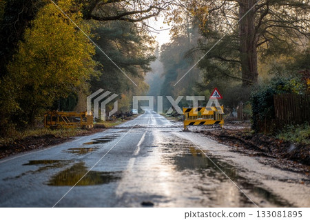 Morning Tranquility Disrupted by Emergency Road Closure in Peaceful Countryside Generative AI 133081895