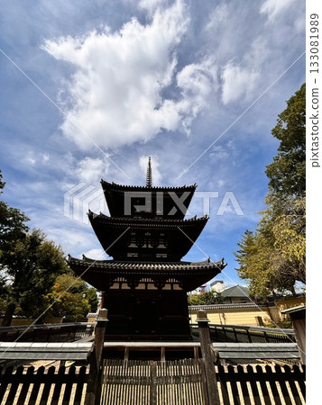 Kofuku-ji Temple Related Historic Sites Kofuku-ji Temple Related Historic Sites 133081989