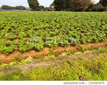 日常隨興的場景 日常隨興的場景 133082074