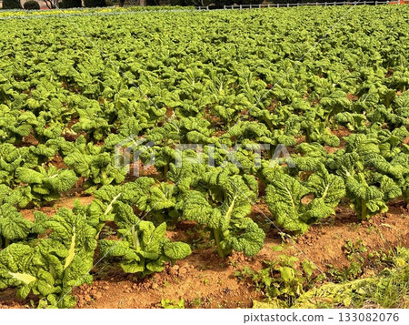 A casual everyday scene 133082076